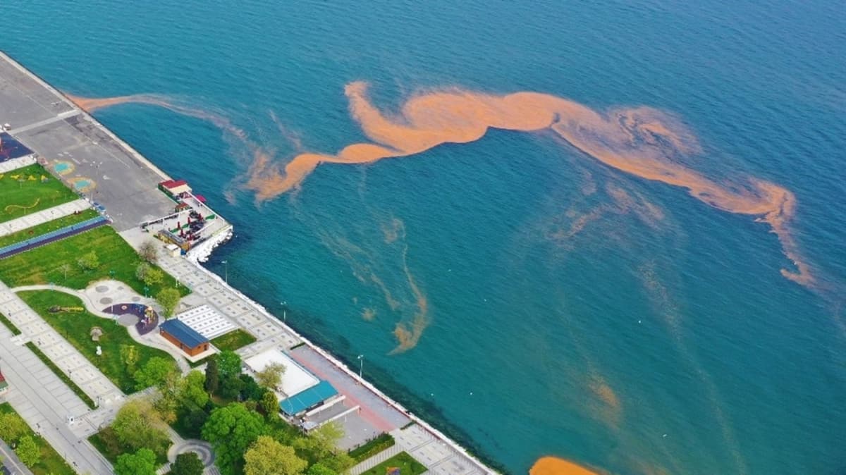 Tekirda'da plankton oalmas deniz suyunu turuncuya dntrd 