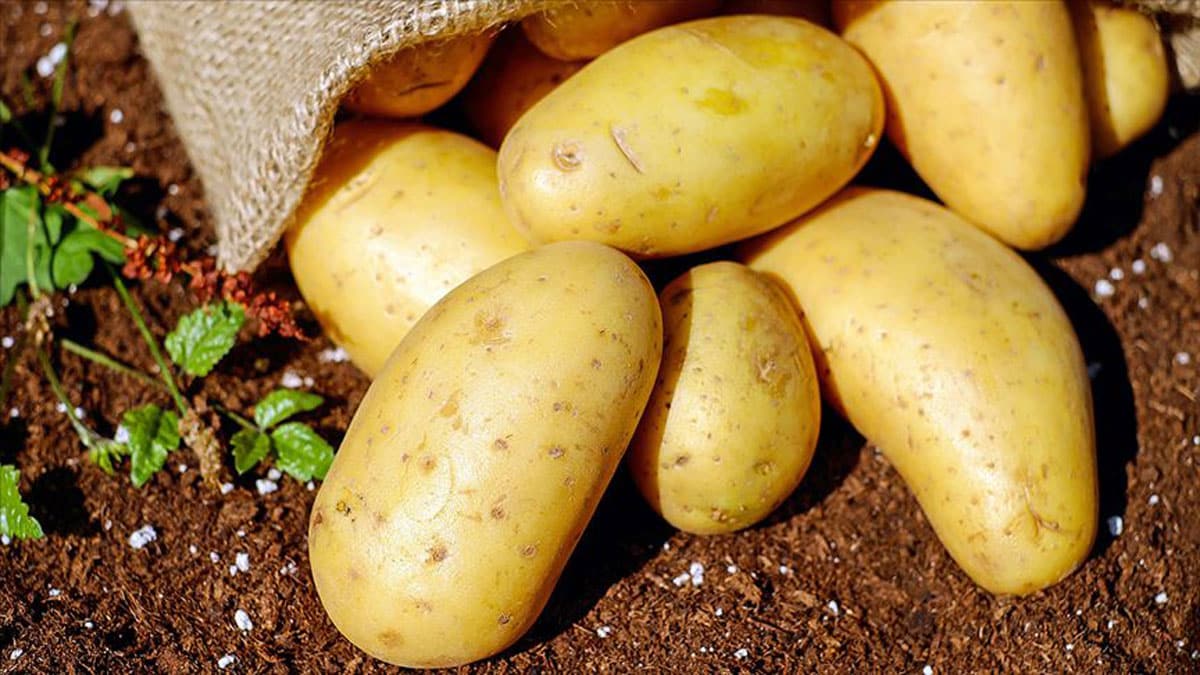 Resmi Gazete'de yay�mland�: �thalat�na g�zetim uygulamas�