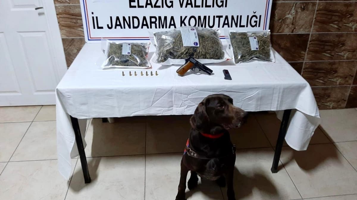 Jandarma ekiplerince 5 kilo uyuturucu ele geirildi 