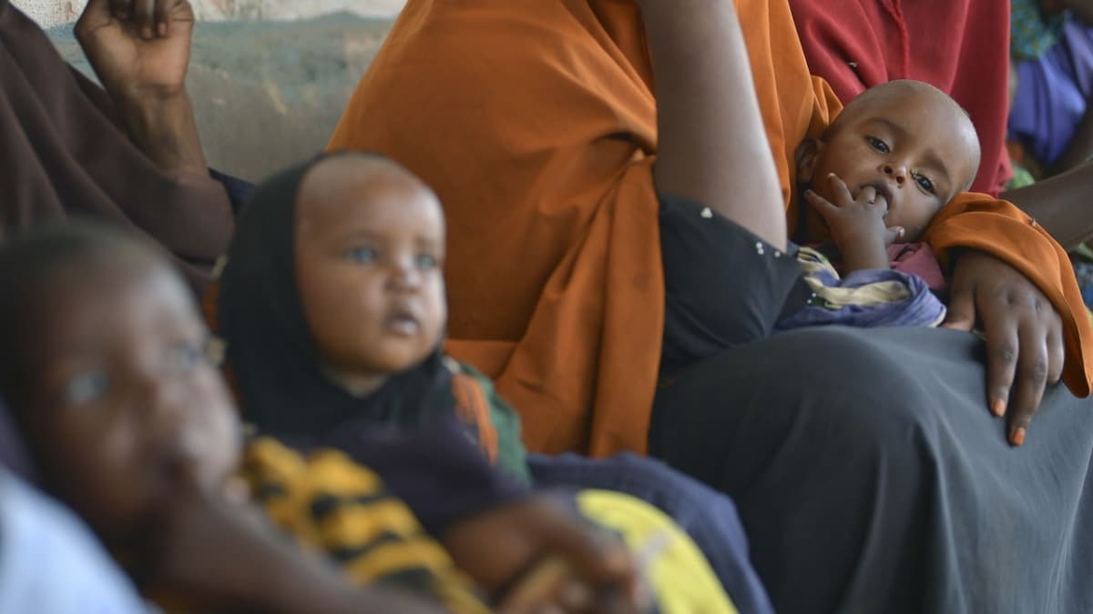 Kamerun'da kolera salgn nedeniyle 4 kii ld 