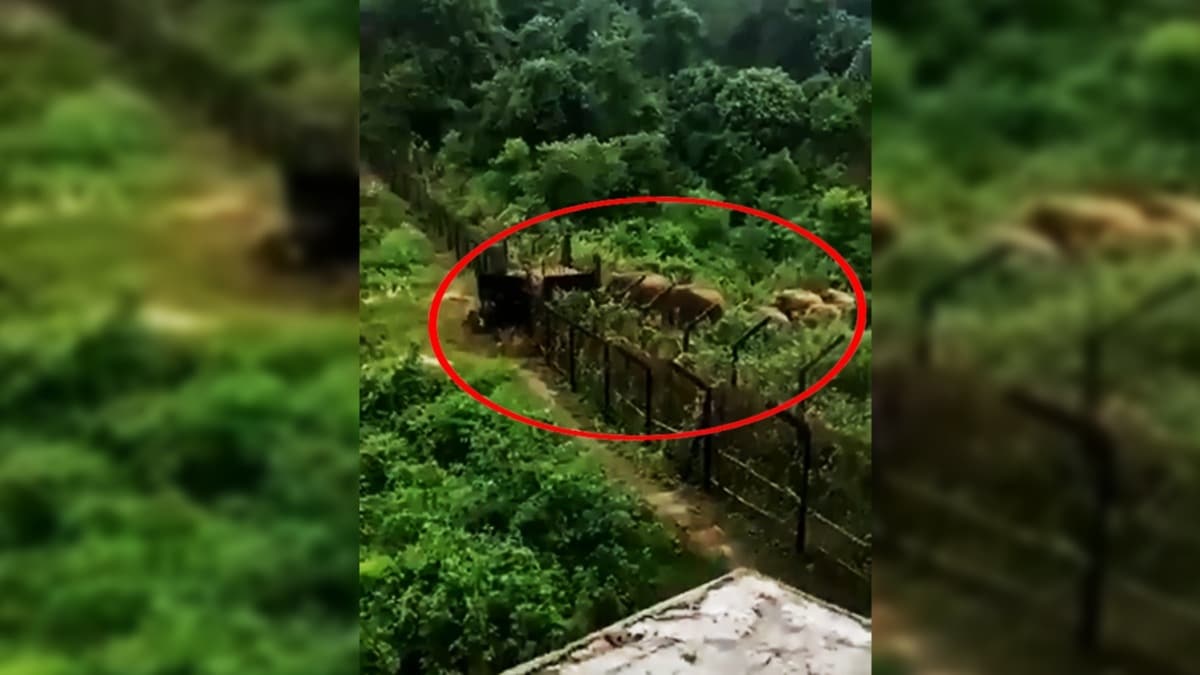 nanlmaz grnt! Snr devirip getiler, muhafzlar bakakald