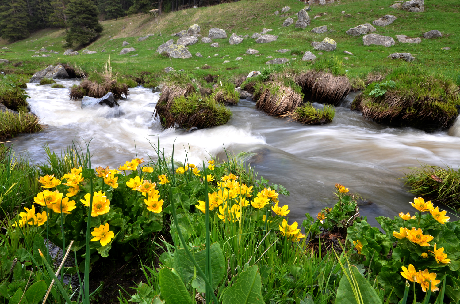 Yer: Sar�kam��... Karlar eridi, kartpostall�k g�r�nt�ler ortaya ��kt�