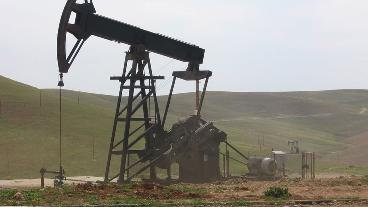 Petrol arama ruhsat karar