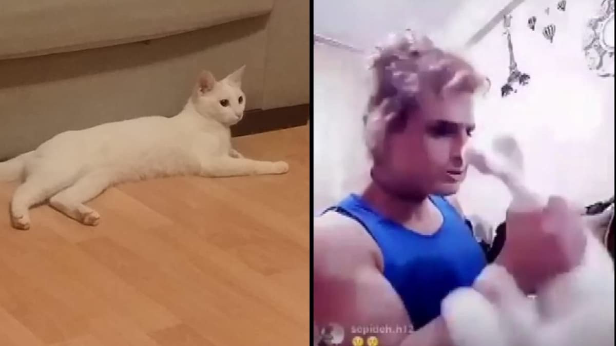 Cani adam�n kediye ak�lalmaz eziyeti! �nce d�vd� sonra f�rlatt�, ama polisten ka�amad�