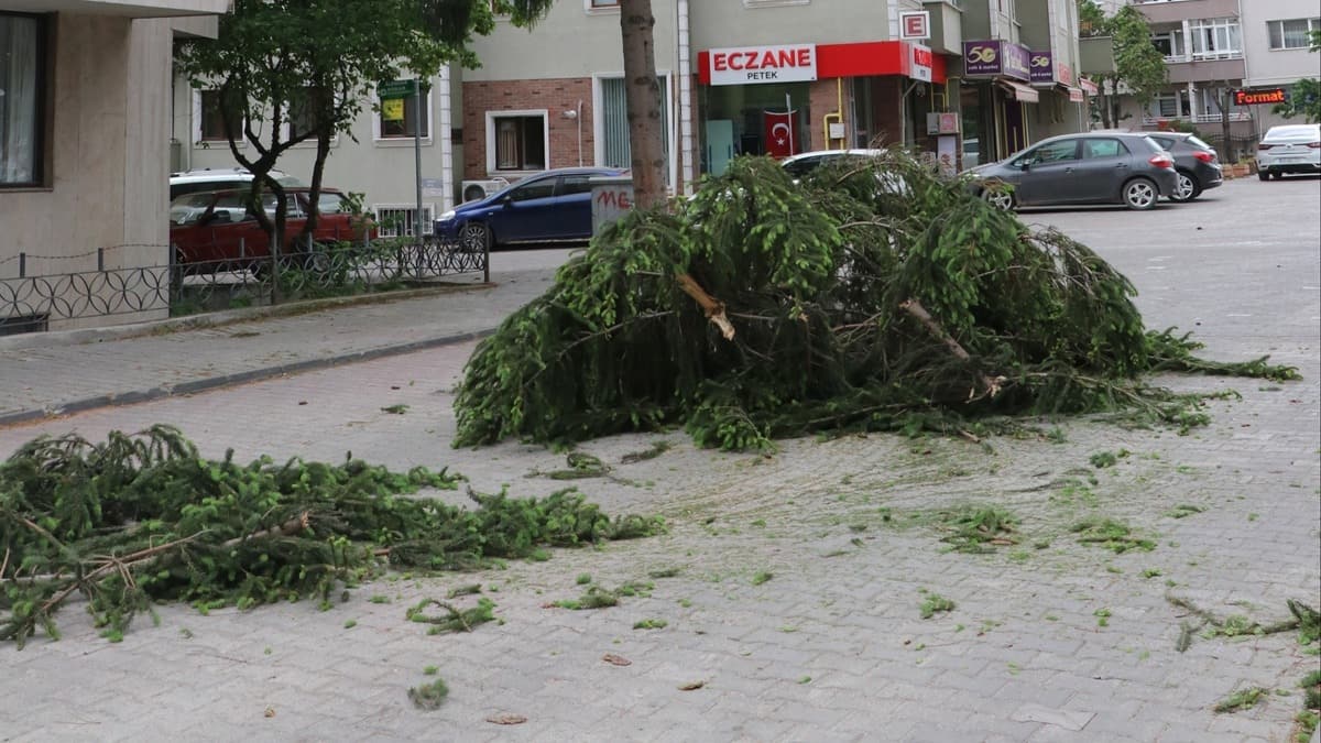 Bolu'da iddetli rzgar aac krd 