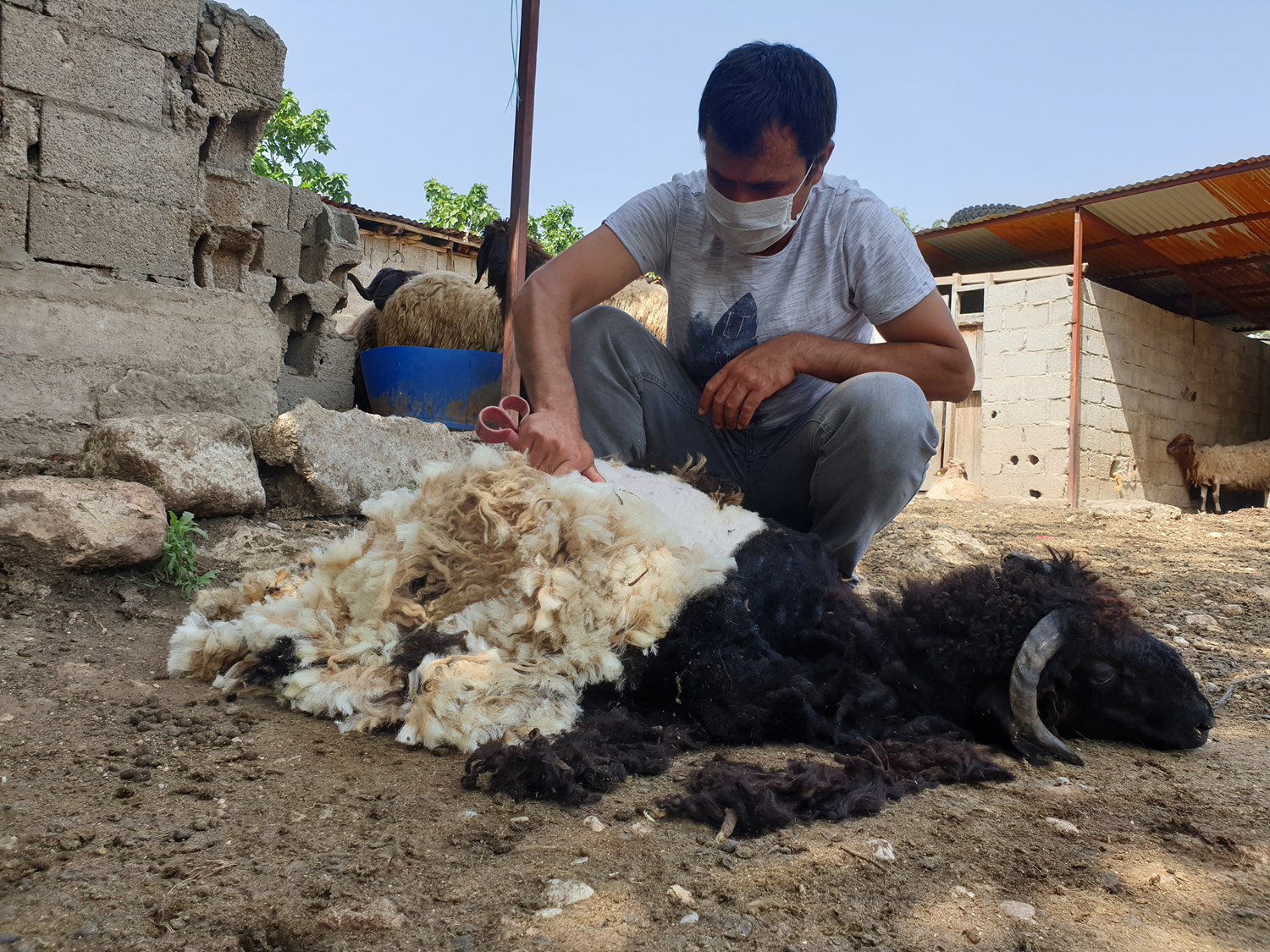 Havalarn snmasyla 'krkma' mesaisi balad
