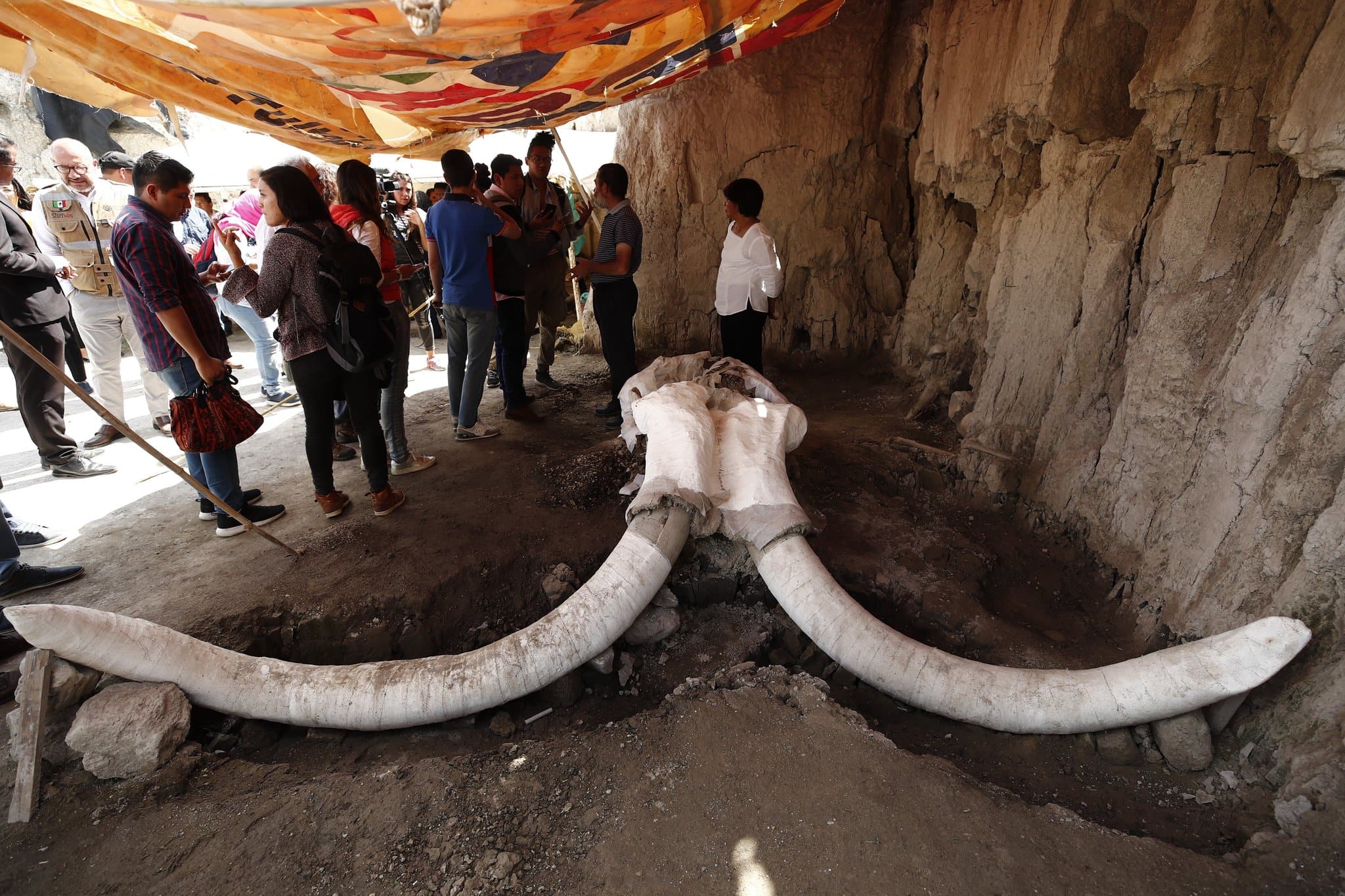 Meksika'da yeni keif: Havaliman inaatnda mamut kalntlar bulundu