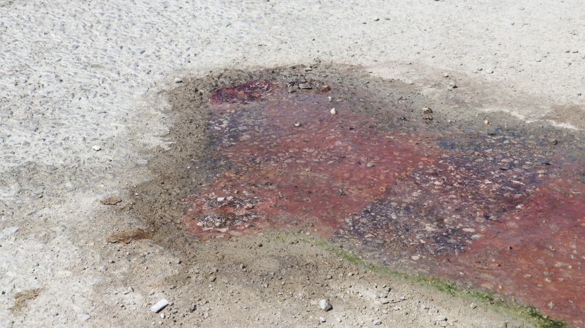 Denizli'de asfalt yoldan 70 derece scaklkta termal su kt