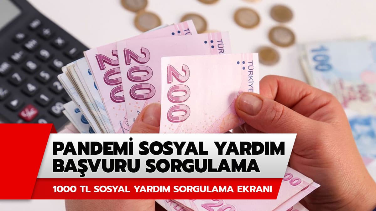 1000 TL pandemi destek ba�vuru sonucu a��kland� m�? Pandemi destek sonucu sorgulama