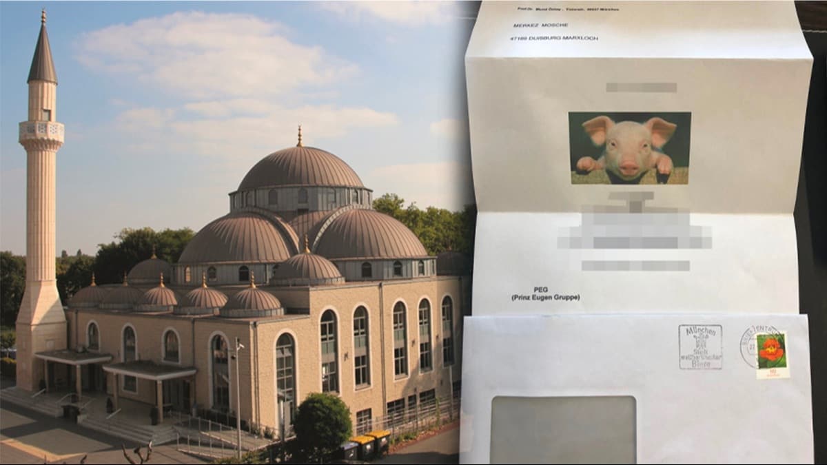 Almanya'da slamofobik saldr! 3 camiye domuz fotorafl tehdit mektubu gnderildi