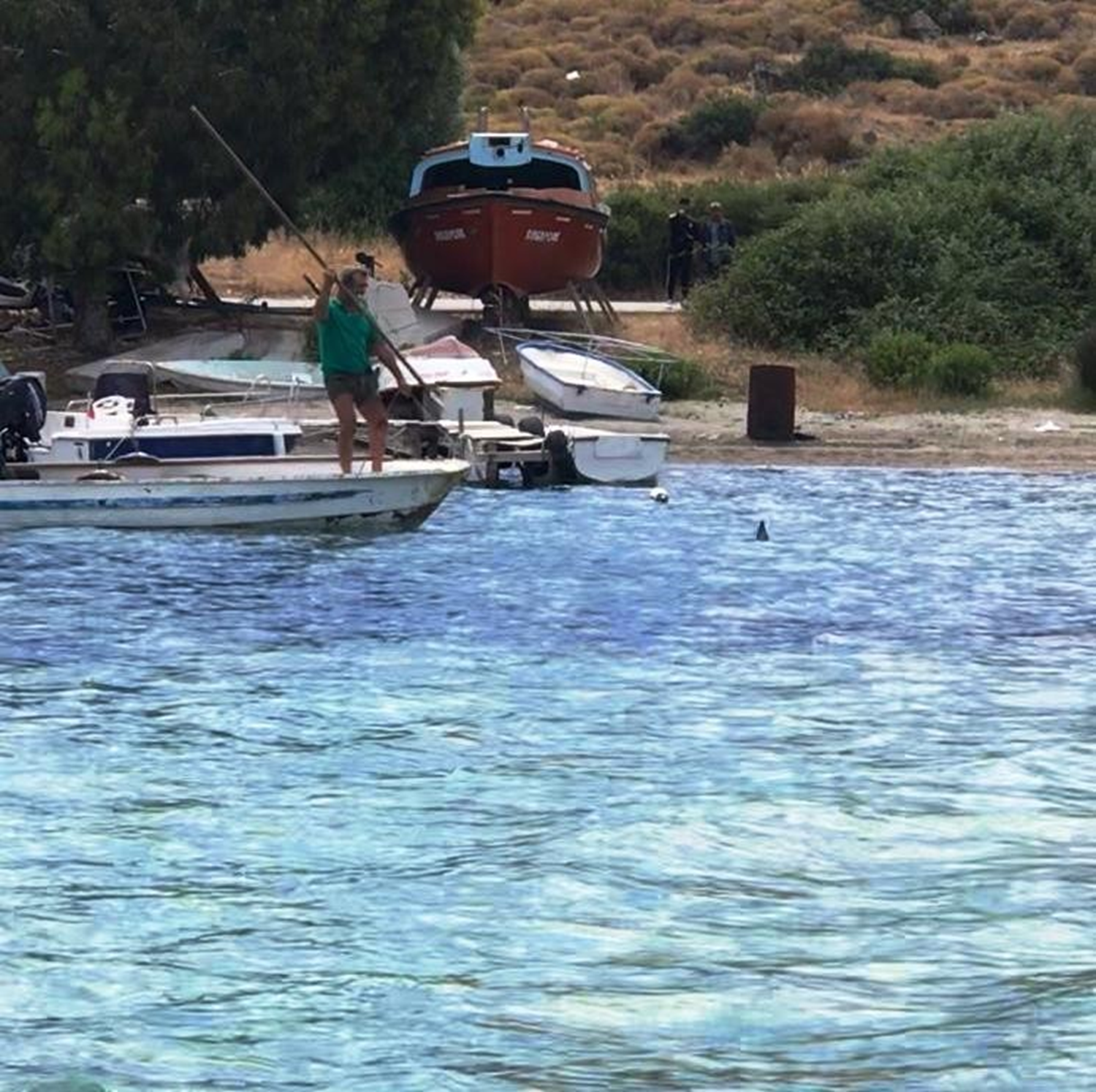 Bodrum'da tepki �eken olay! Pe�inden gidip m�zrakla �ld�rd�ler