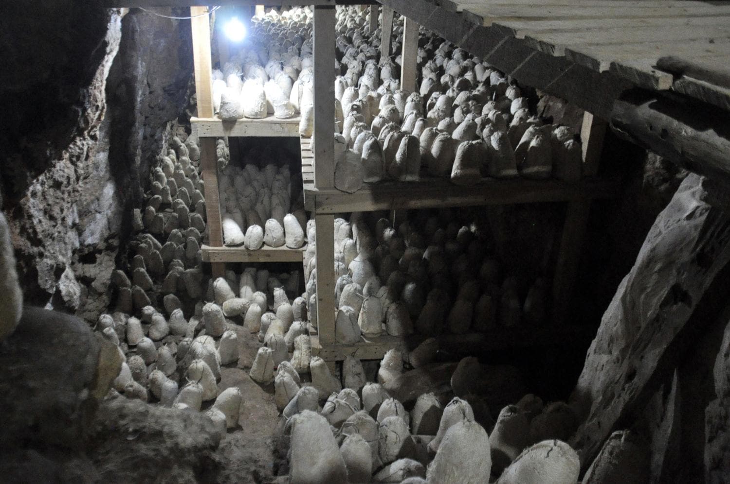 Aylarca ma�arada olgunla�t�r�l�yor... Rokfor peynirine rakip