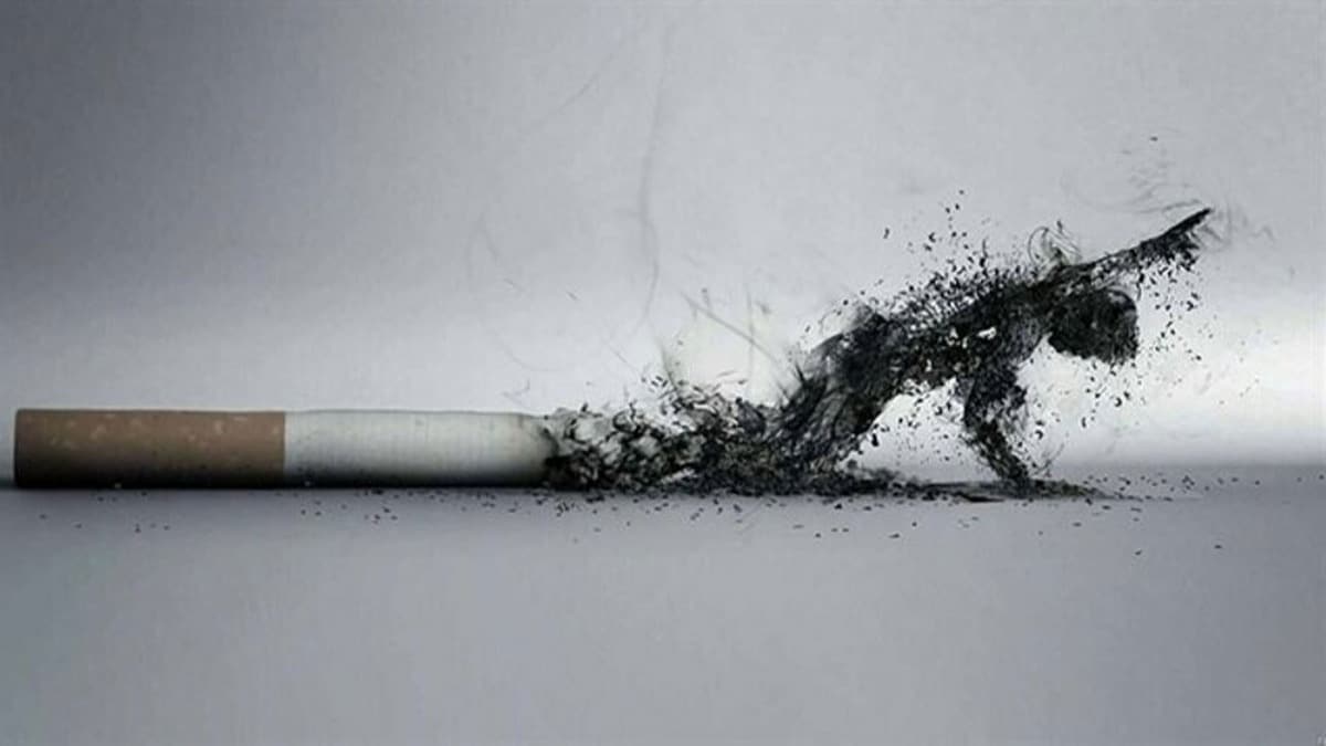 Sigara dnya genelinde her yl 8 milyon can alyor 
