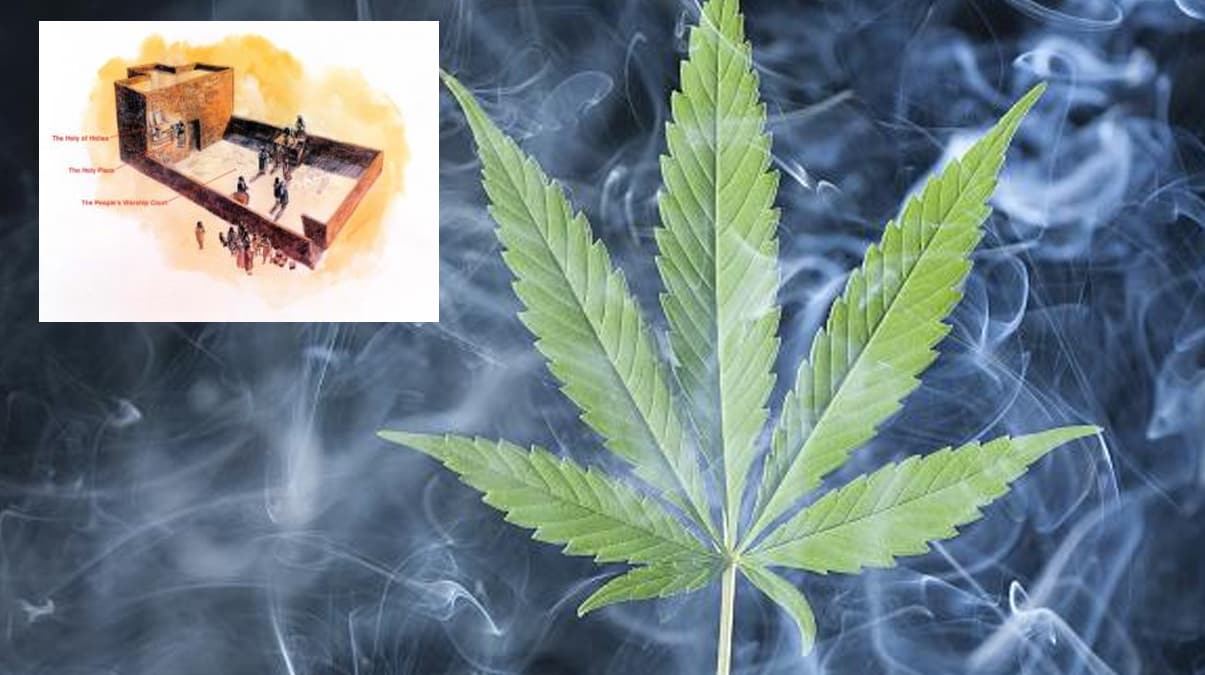 Uyu�turan ayinler.. Yahudi tap�na��nda 2 bin y�l �nce kenevir kullan�lm��