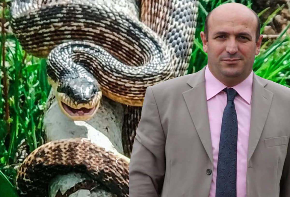 Bah�esinde kar��s�na ��kan y�lan m�d�r yard�mc�s�n�n sonu oldu