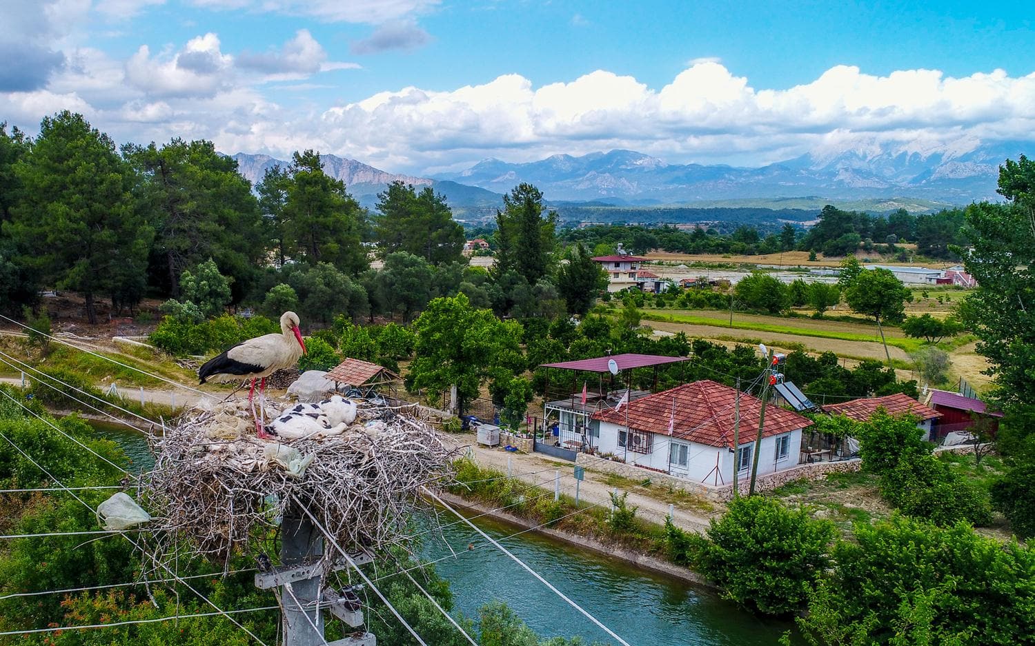 Aksu'nun narin misafirleri titizlikle a��rlan�yor