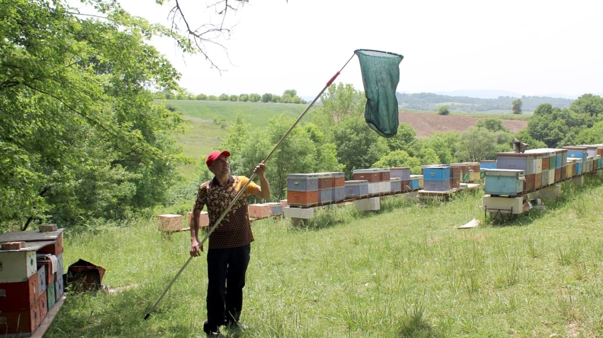 Hobi olarak balad arclk meslei oldu 