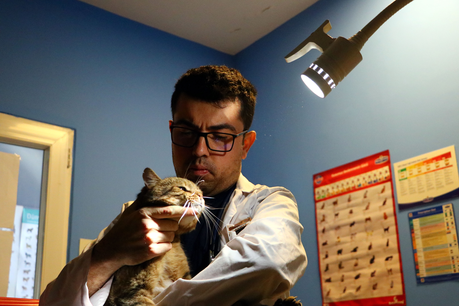 Bedensel engelli veterinerin hayallerine devlet deste�i