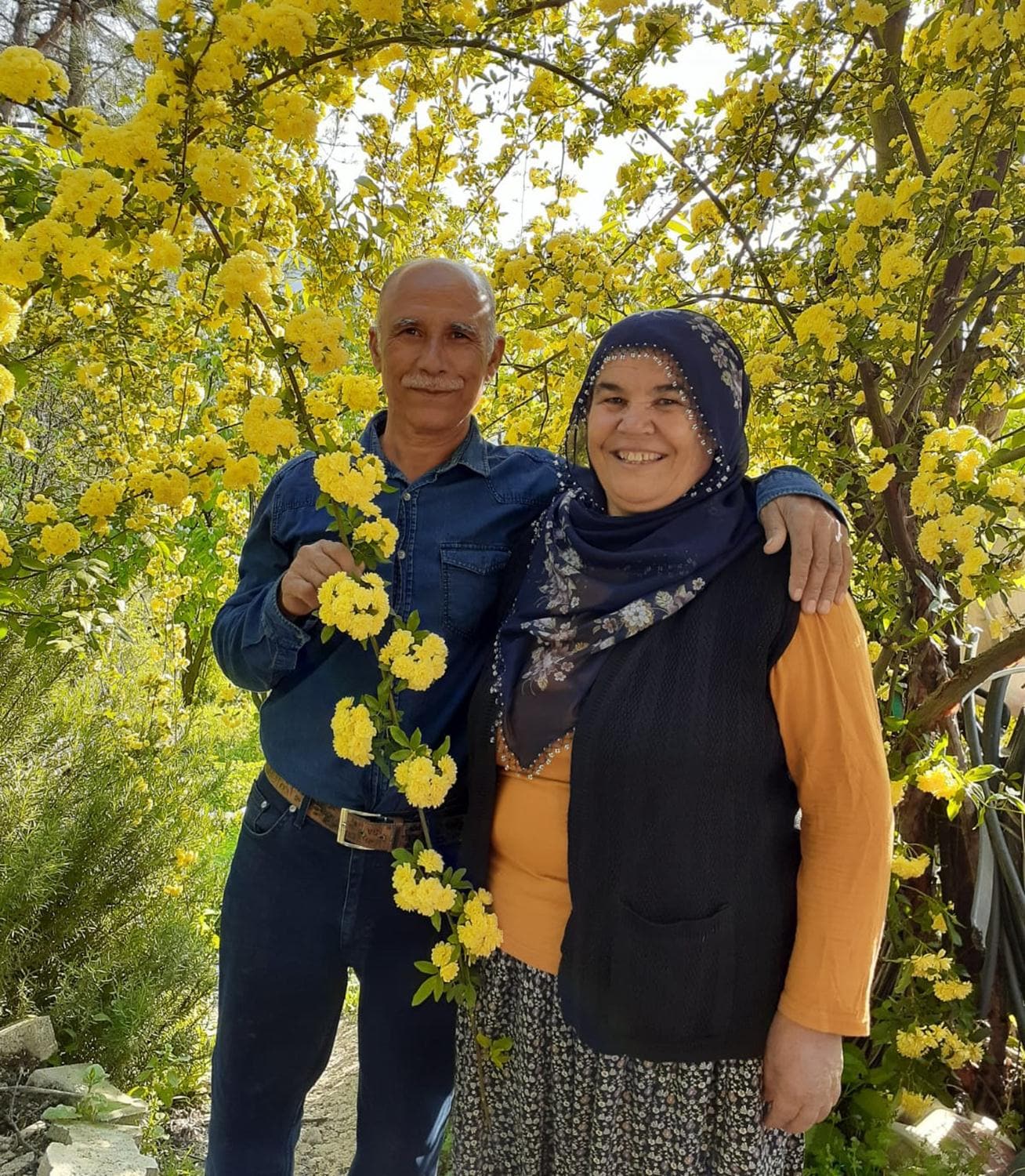 Domuz avnda arkadan ldrd