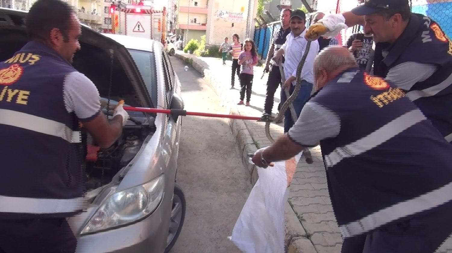 Kaputa giren engerek pani�e neden oldu