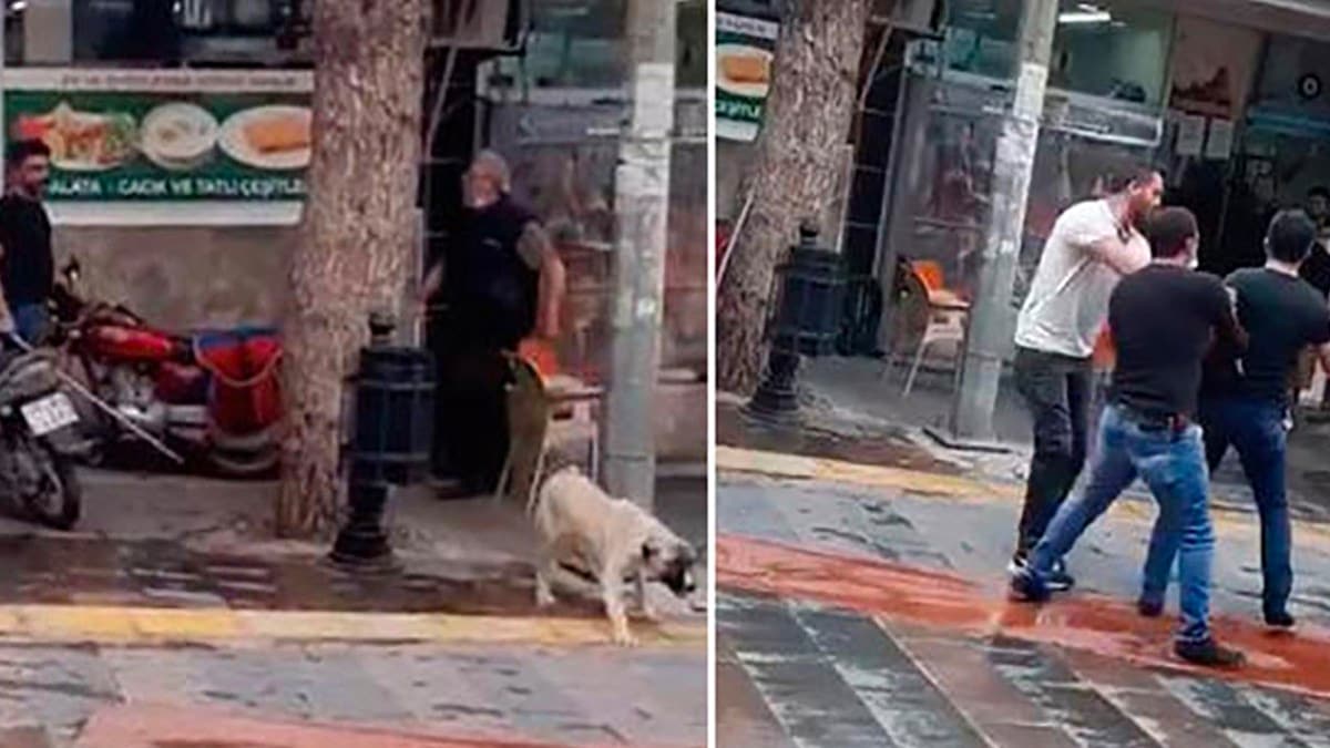 Manisa'da sokak k�pe�ini sopayla d�ven adama ceza ya�d�