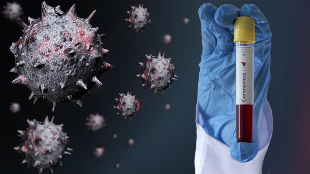 Koronavir�s a��s� �al��malar�nda yeni a�amaya ge�iliyor