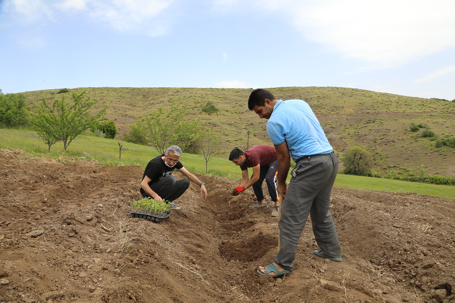 �ift�inin y�z� yerli fidelerle g�lecek