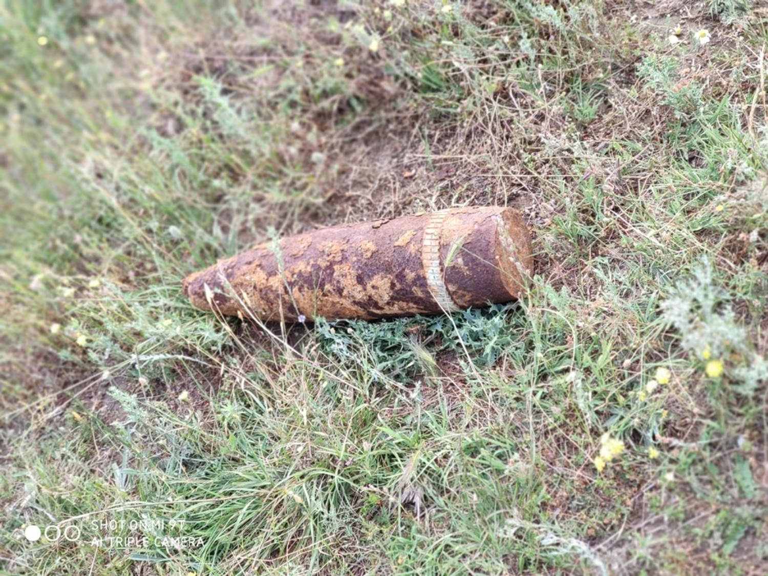 Koyun otlatan vatandalar buldu! Jandarma tarafndan imha edildi