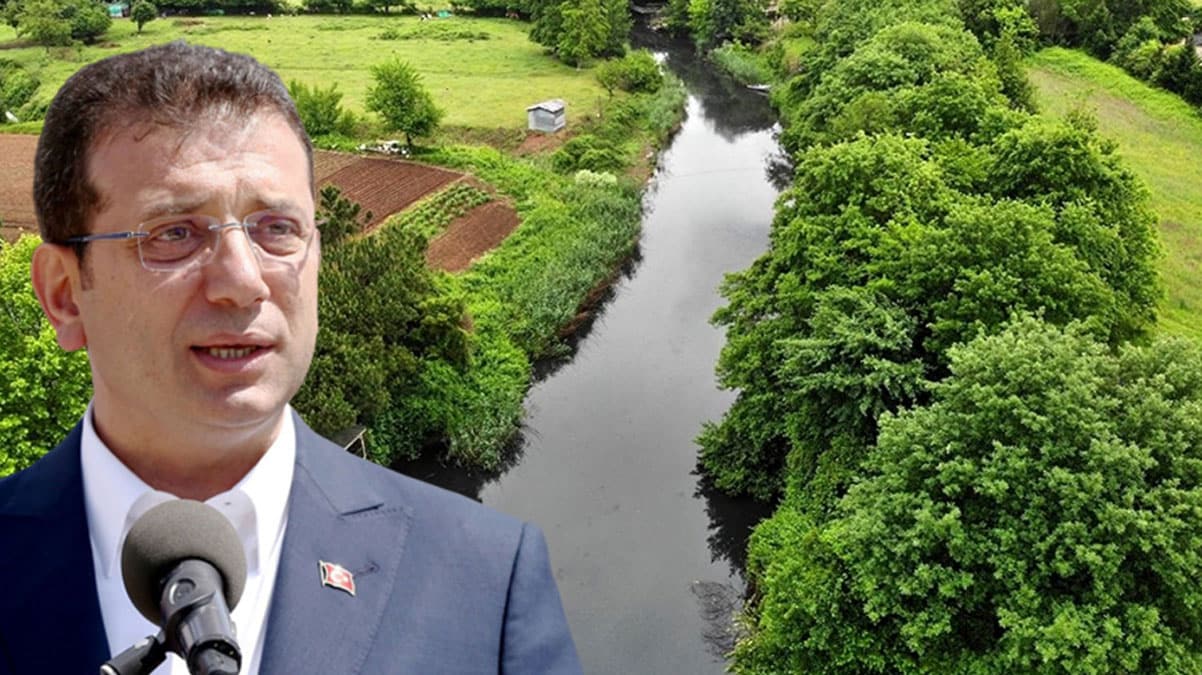 �mamo�lu'nun 'Riva Deresi' iddialar�na DS�'den cevap