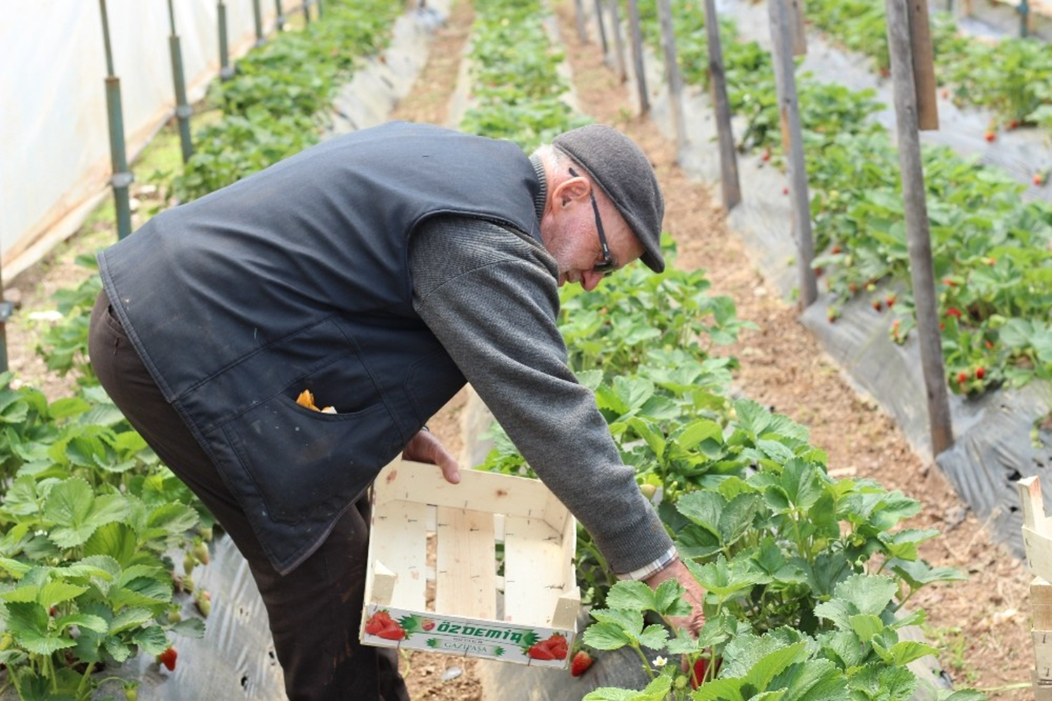 Hobi olarak ba�lad�: �imdi tonlarca �retiyor