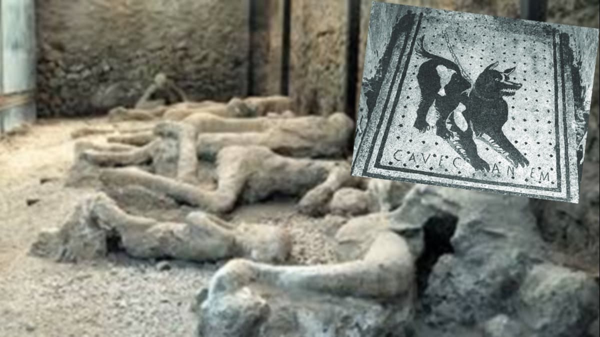 Talaan ehir Pompeii'de ilgin keif: 'Dikkat kpek!' mozaii