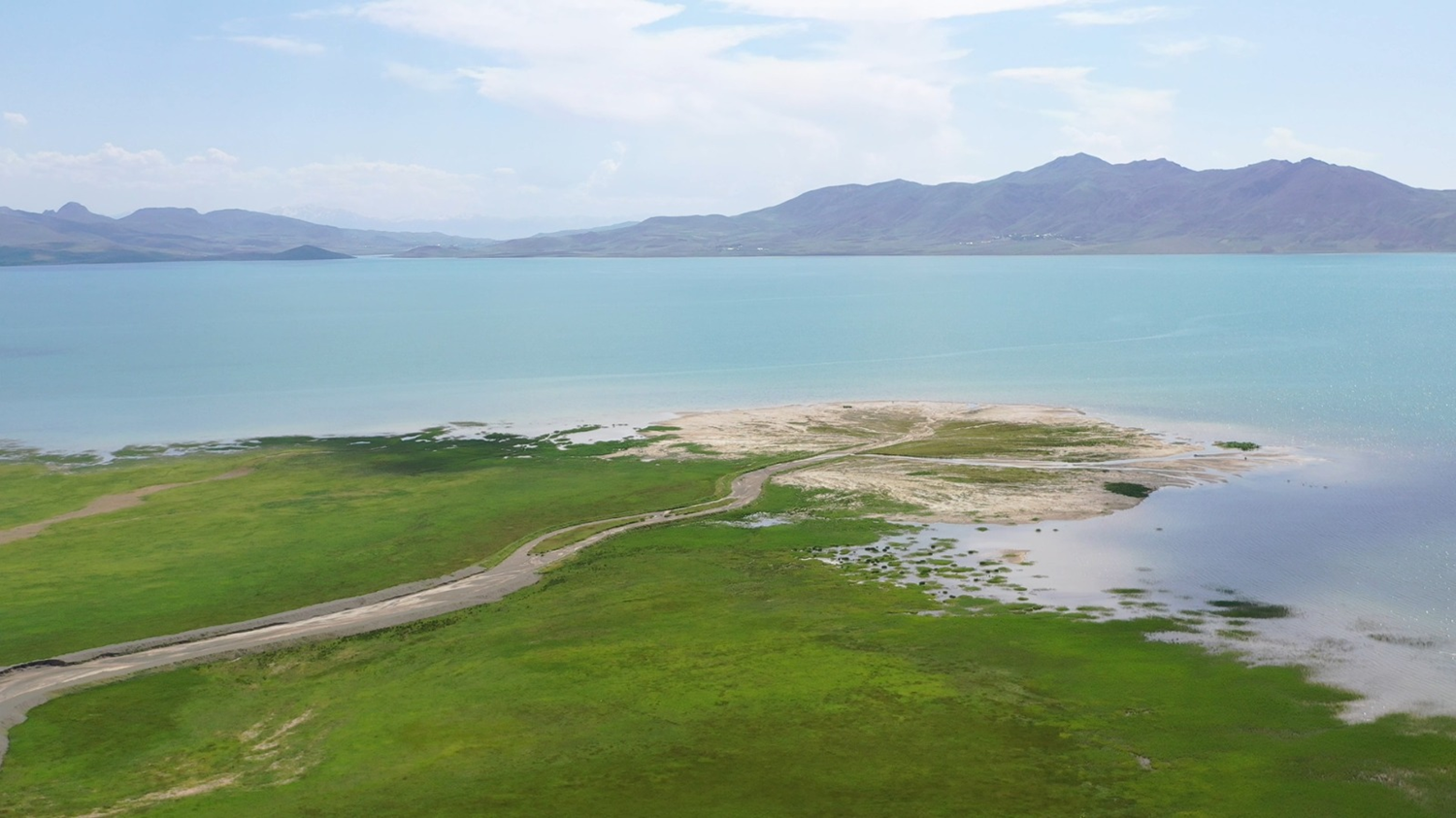 Ba�kan Erdo�an'�n imzas�yla korumaya al�nd�