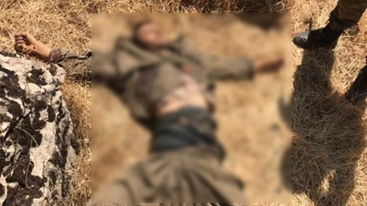 Terr rgt PKK'nn szde yrtme konseyi yesi Kasm Engin kod adl terrist etkisiz hale getirildi