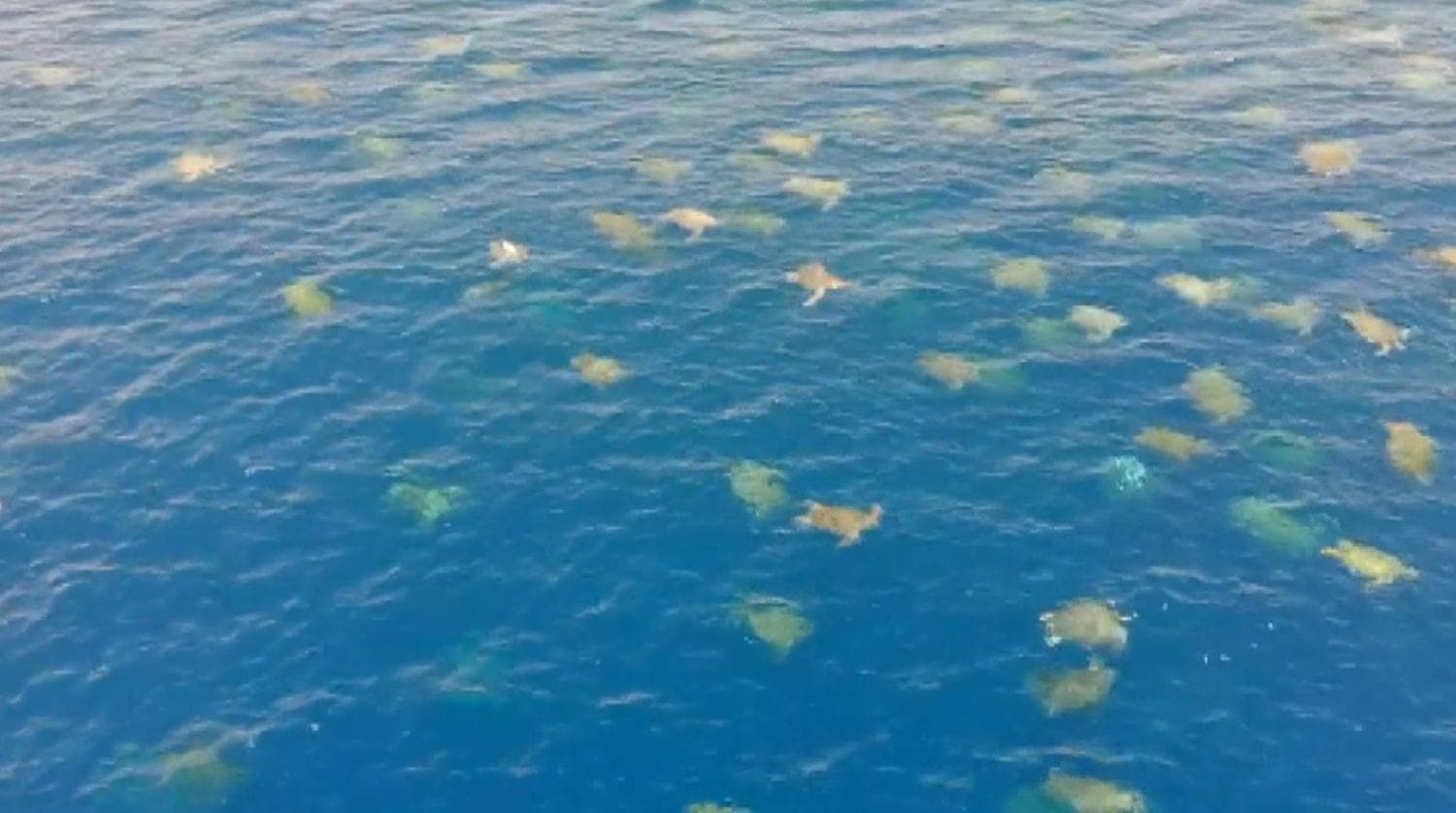 D�nyan�n en b�y���... Drone ile g�r�nt�lendi!