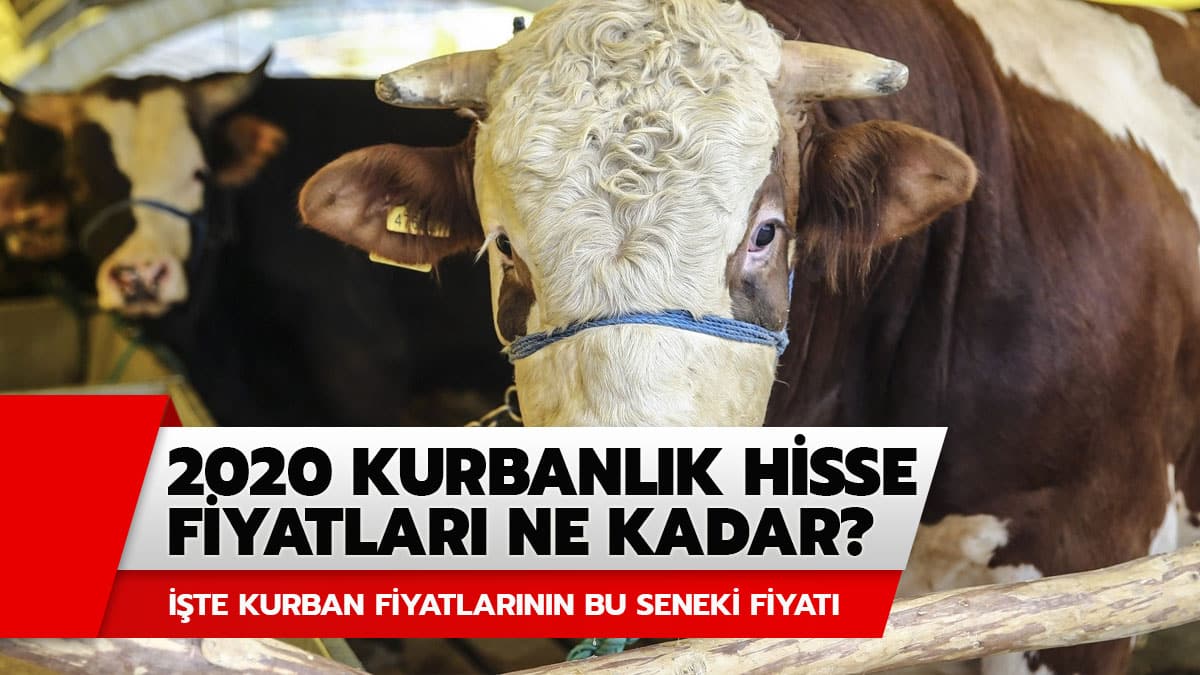 Kurbanl�klar�n fiyat� ne kadar oldu? ��te k���kba� ve b�y�kba� kurbanl�k hisse fiyatlar� 2020