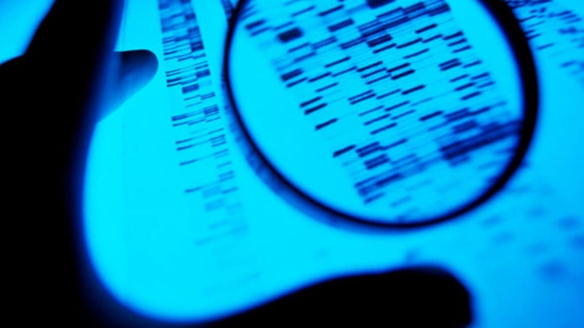 Zonguldak'ta hrszlk zanls DNA testiyle yakaland 