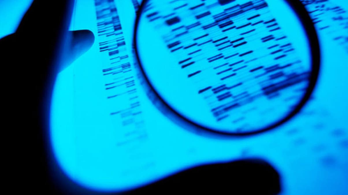 Hrszlk zanls DNA testiyle yakaland