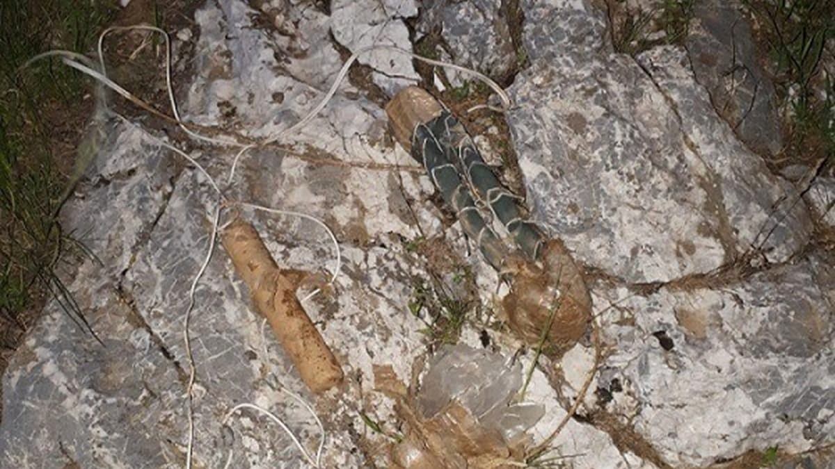 Bitlis'te, PKK terr rgtne ait el yapm patlayc imha edildi