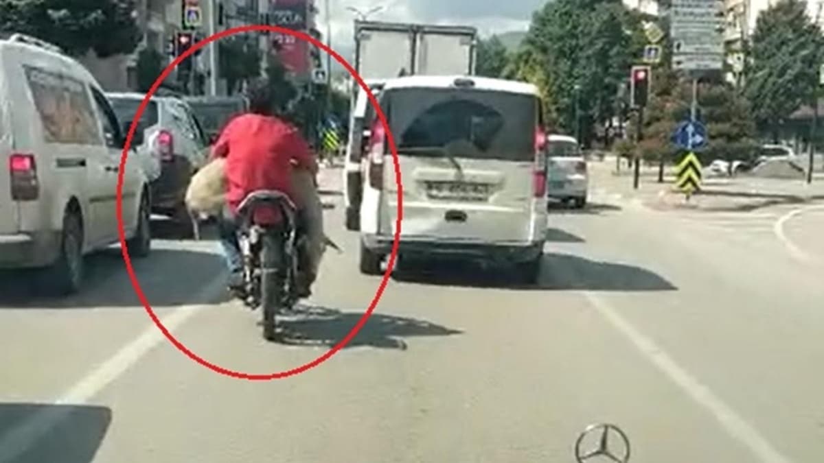 Motosikletiyle kkba hayvan tad 