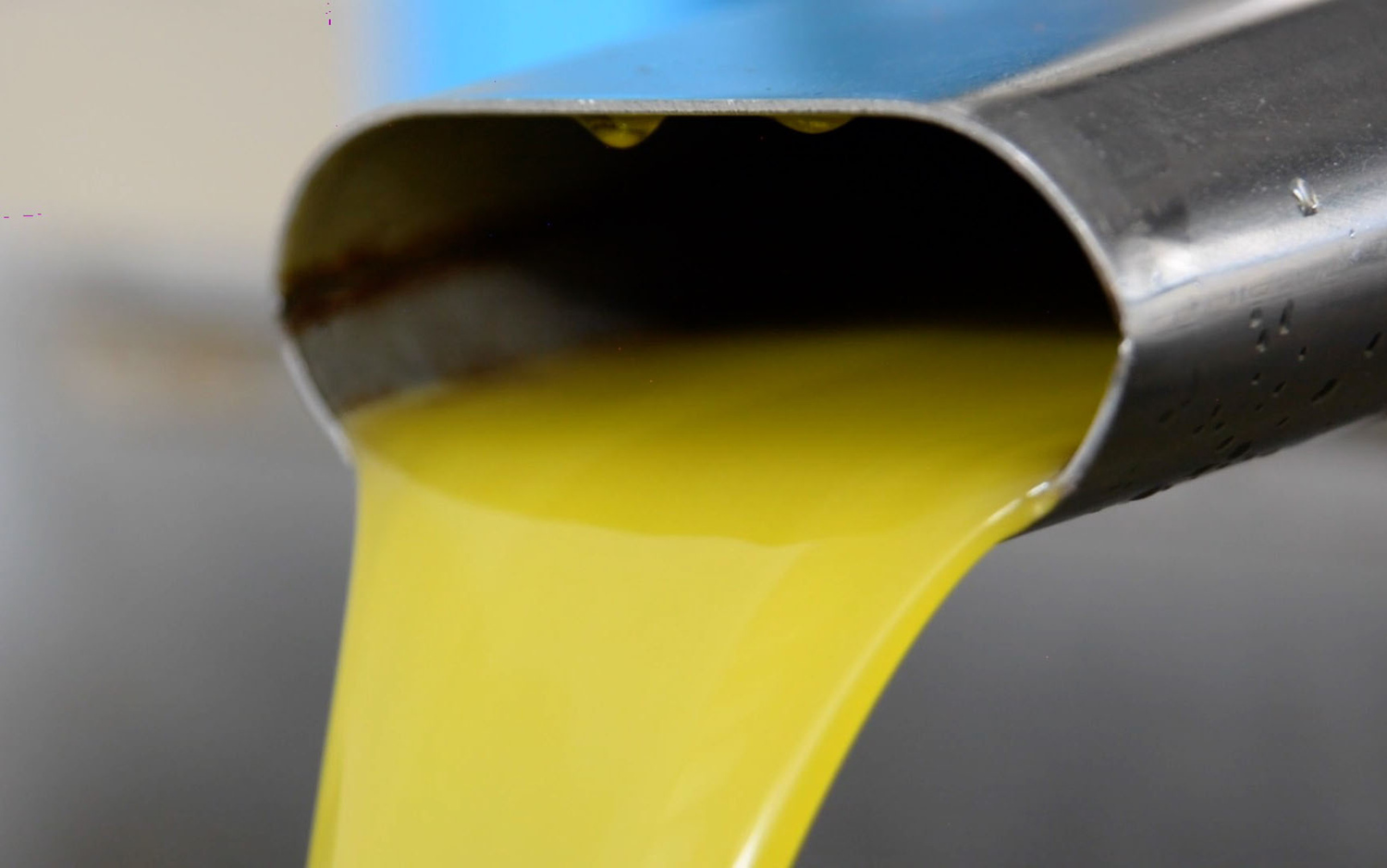 '�nternetten ucuza sat�lan zeytinya�lar�na itibar etmeyin'