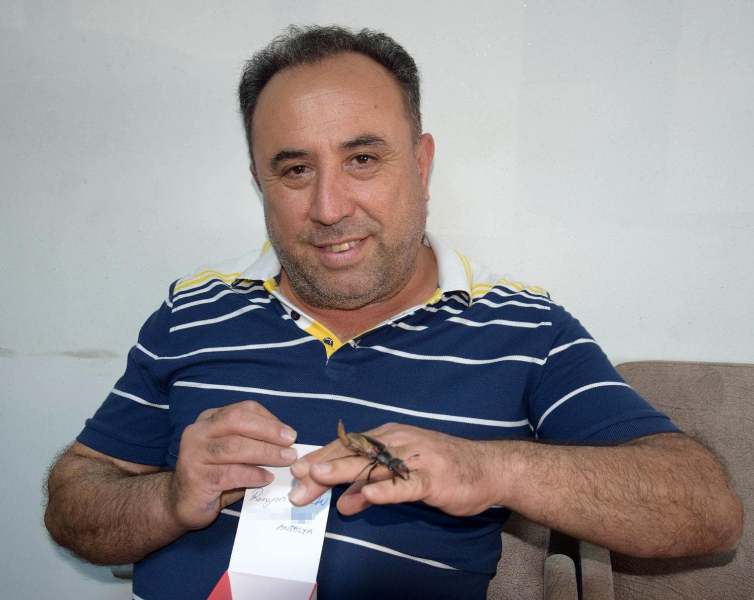 �� yerinin �n�nde buldu�u geyik b�ce�ini korumaya ald�