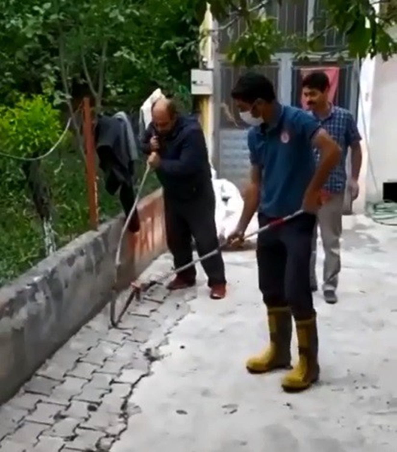 Mahalleli aya�a kalkt�! Y�lan seferberli�i...