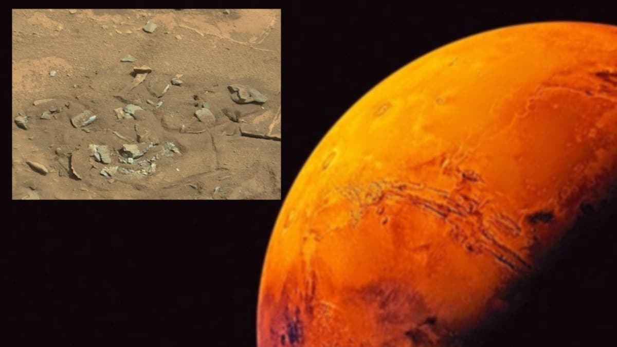 'Mars'ta kemik' paylam ortal kartrd