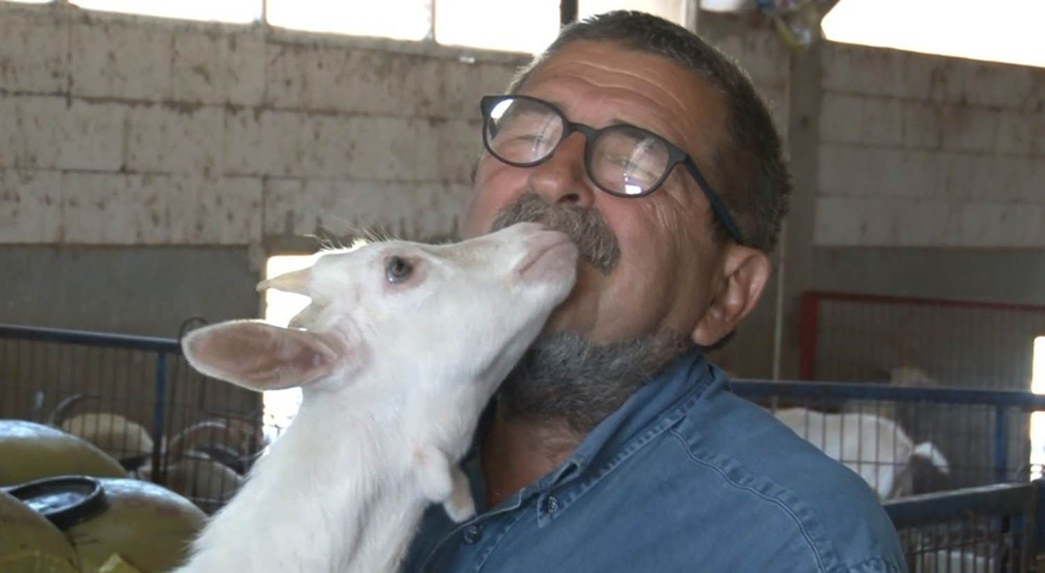 �ehir hayat�nda bunal�nca �areyi bunu yapmakta buldu!