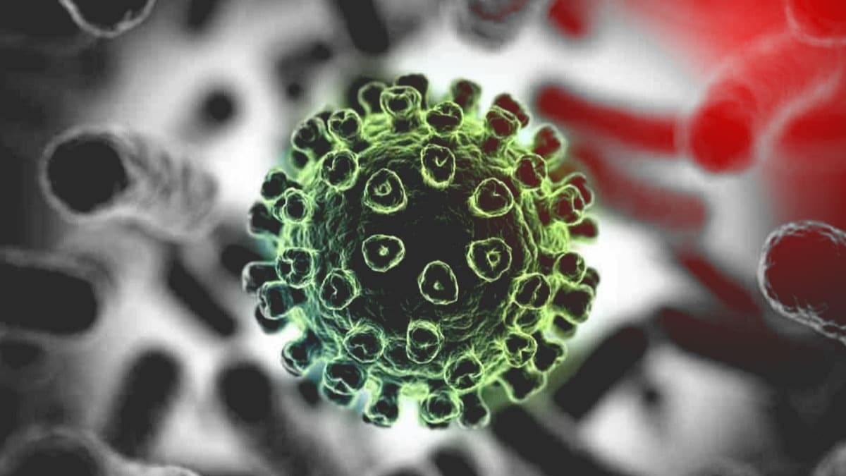 Gnlk koronavirs tablosunda son durum ne? Trkiye koronavirs tablosu gnlk vaka saylar