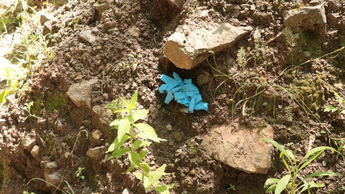 Yalova'da ormanlk alanda bir ceset bulundu 