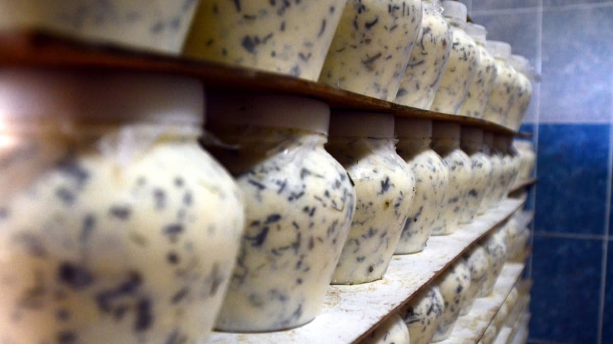 Bitlisli giriimci gerlerden toplad peynirleri Trkiye'ye pazarlyor 