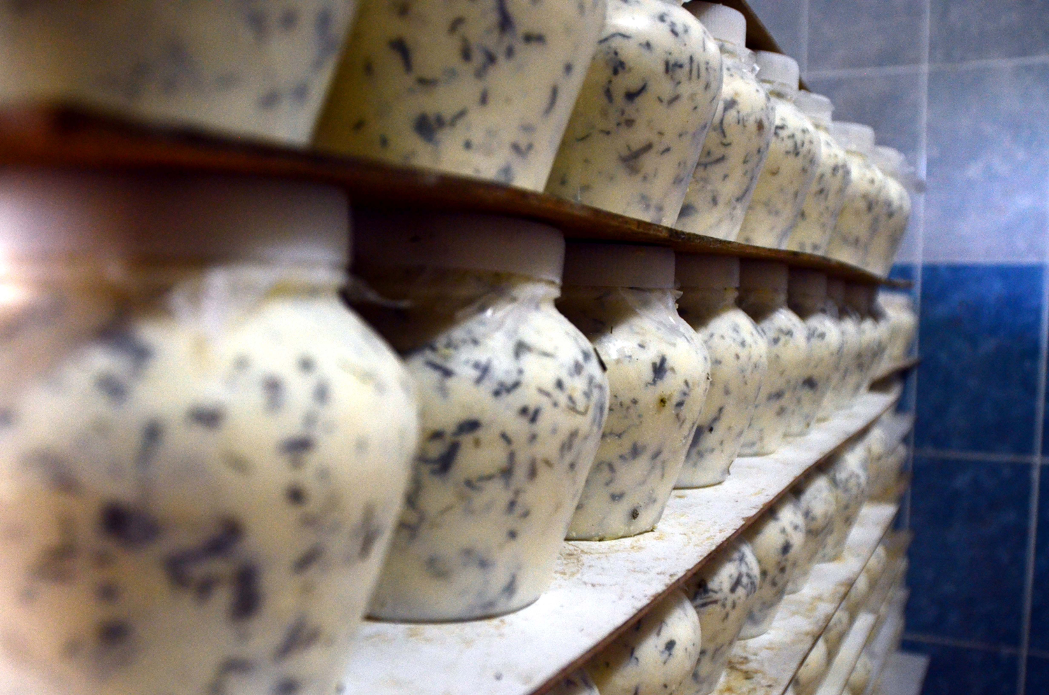 Bitlisli giri�imci g��erlerden toplad��� peynirleri T�rkiye'ye pazarl�yor