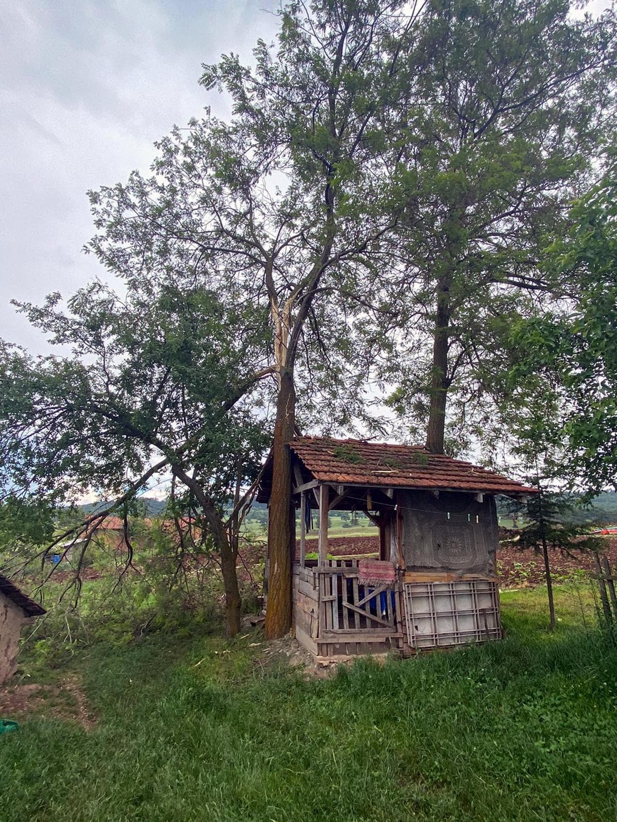 Korkun�! Y�ld�r�m d��t�, 22 ya��ndaki k�z hayat�n� kaybetti