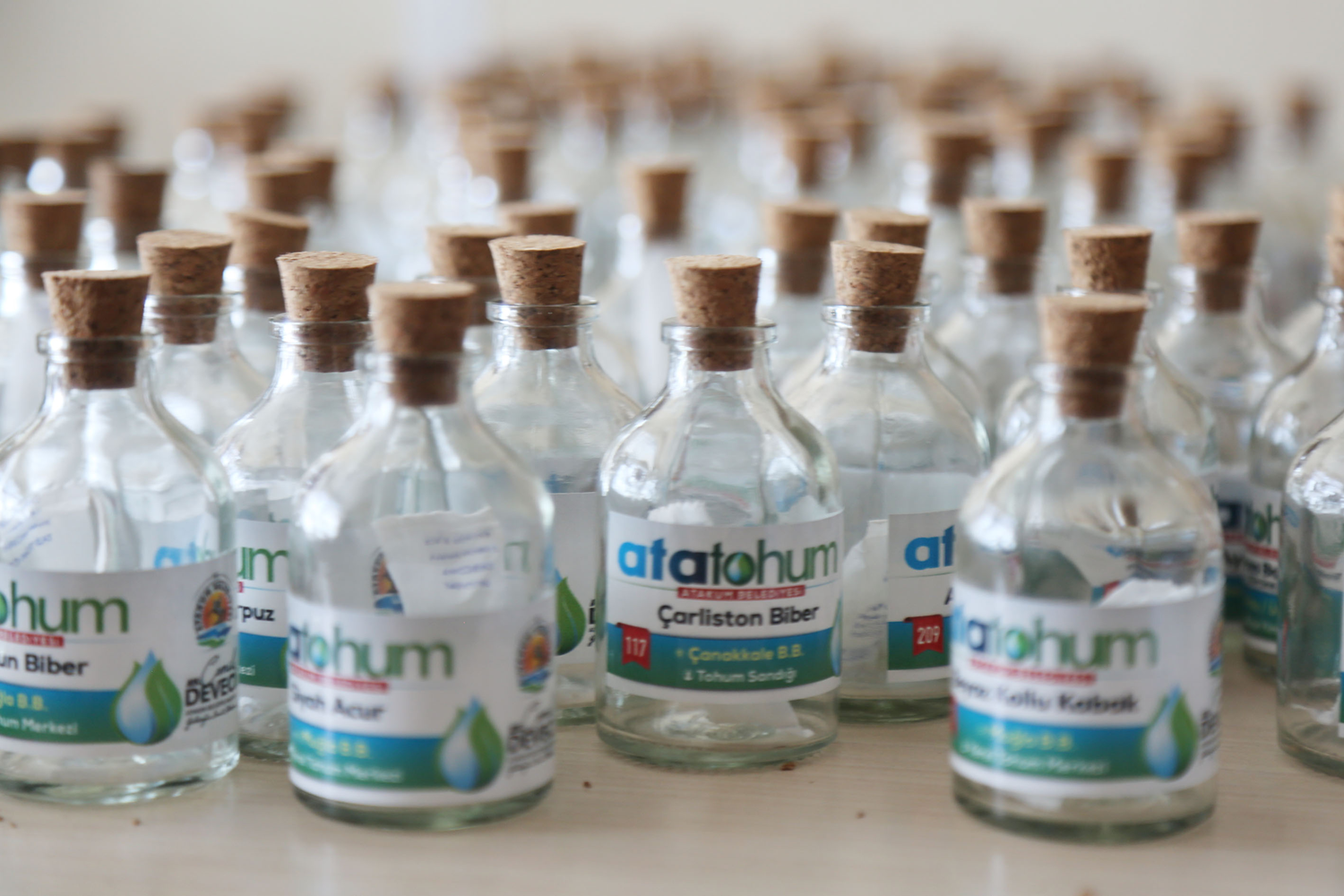 Y�zlerce y�ll�k tohumlar onlara emanet!